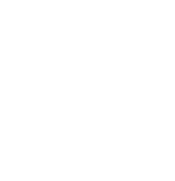 AlcaStudio